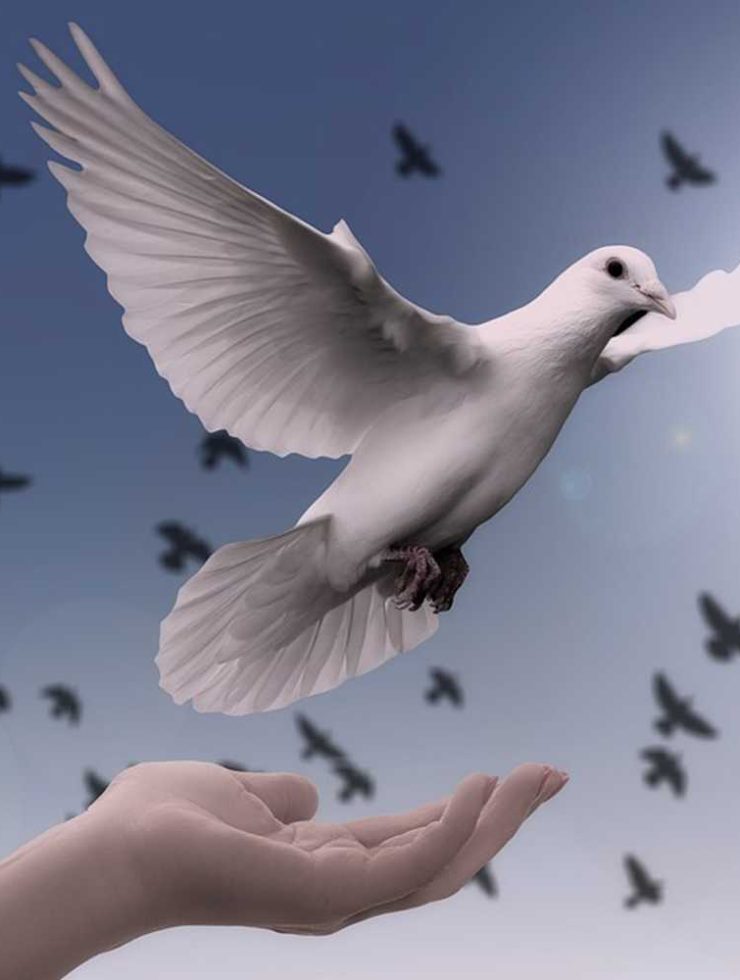 טיפול EFT - מרפאת אור הנר - מודיעין-מכבים-רעות