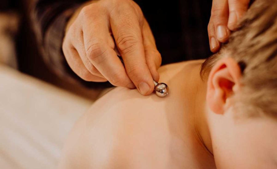 שונישין יפני