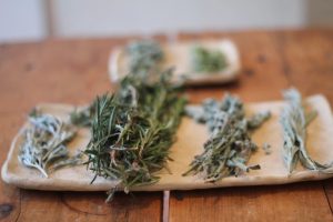 צמחי מרפא - טיפול אלטרנטיבי ממוקד ויעיל